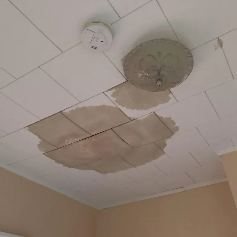 Ceiling Water Damage Repair in Shallowater, TX
