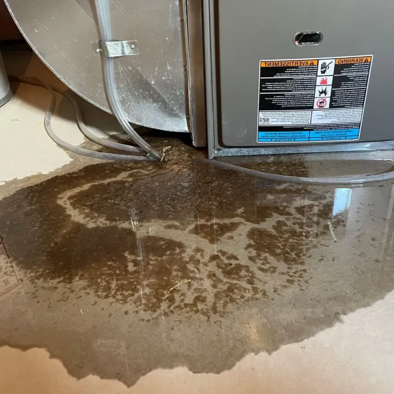 Pipe Burst and Leak Restoration in Shallowater, TX