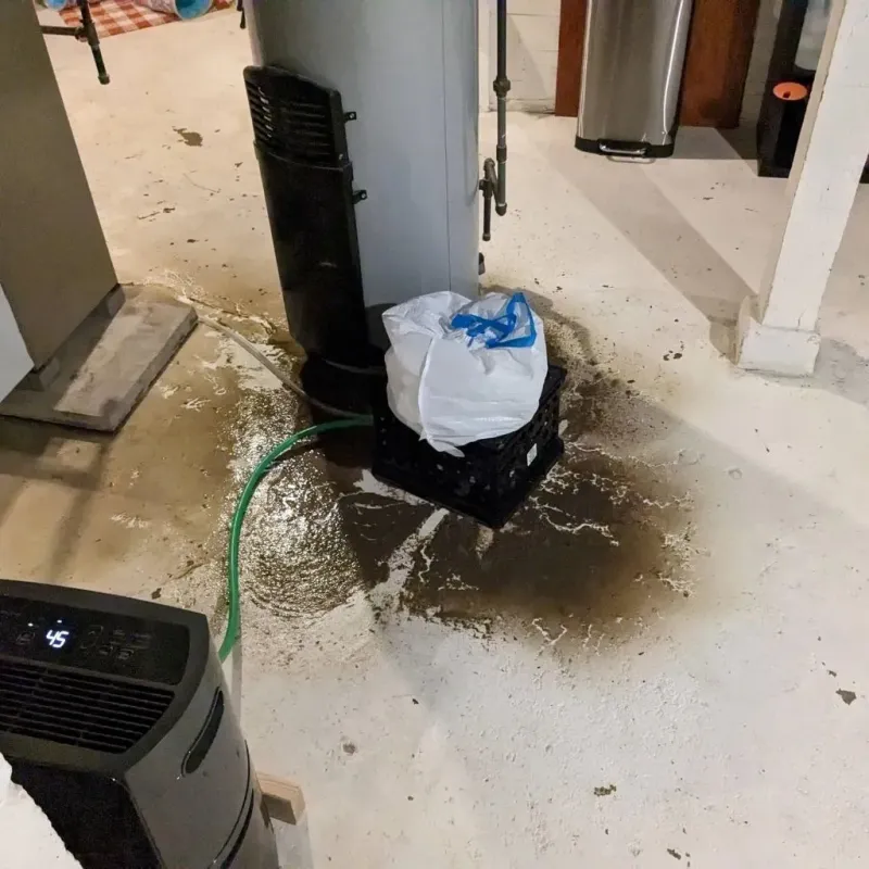 Sewage Backup Cleanup Service in Shallowater, TX